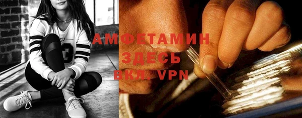 индика Сосновка