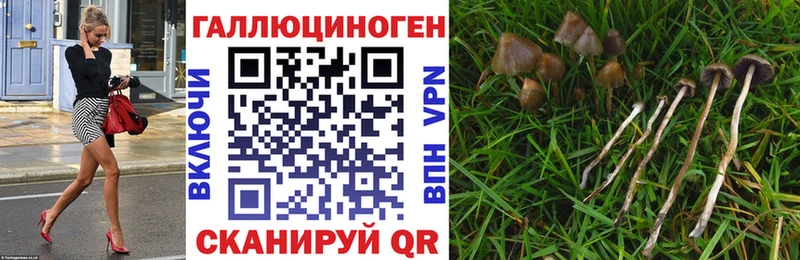 Галлюциногенные грибы мицелий  Рошаль 